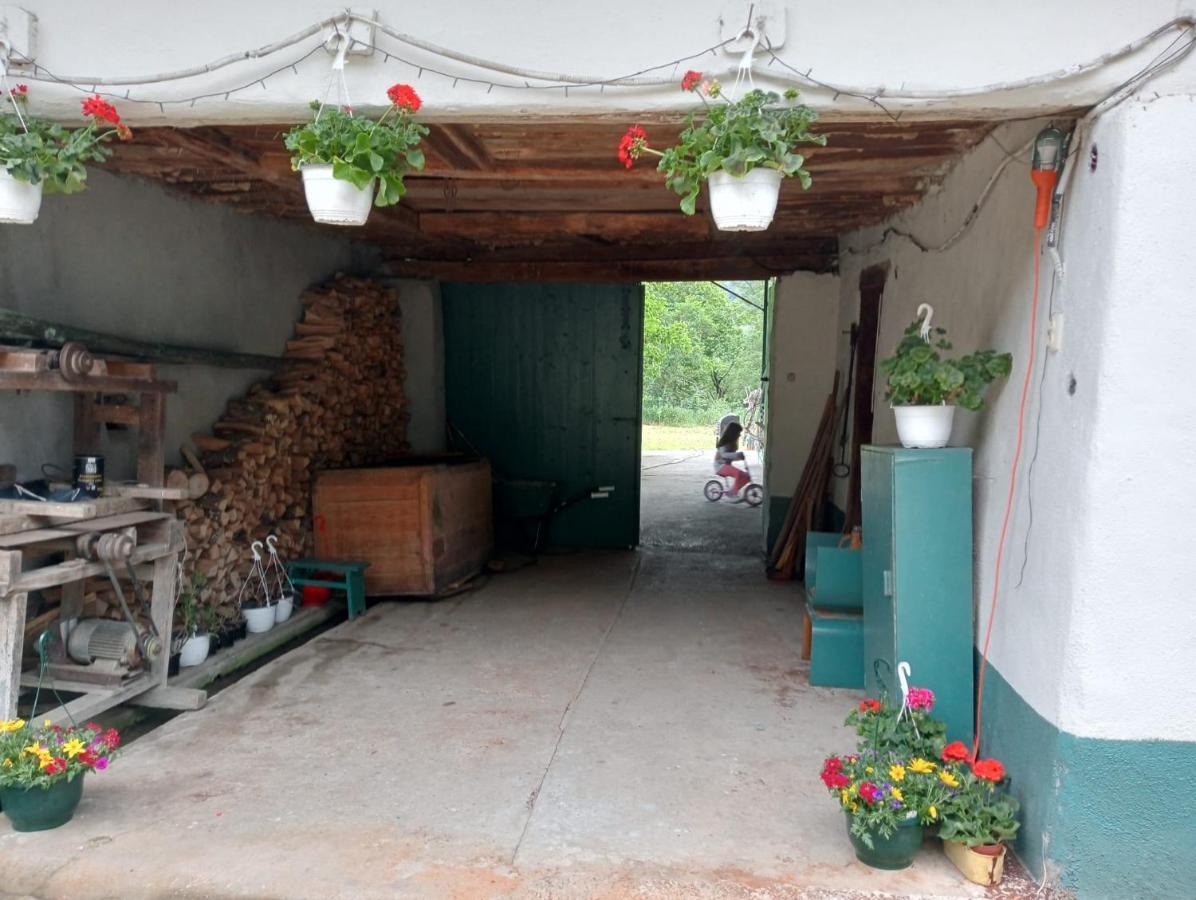 Hello Nature House - Cheile Nerei, Carasului, Garlistei Giurgiova Екстер'єр фото