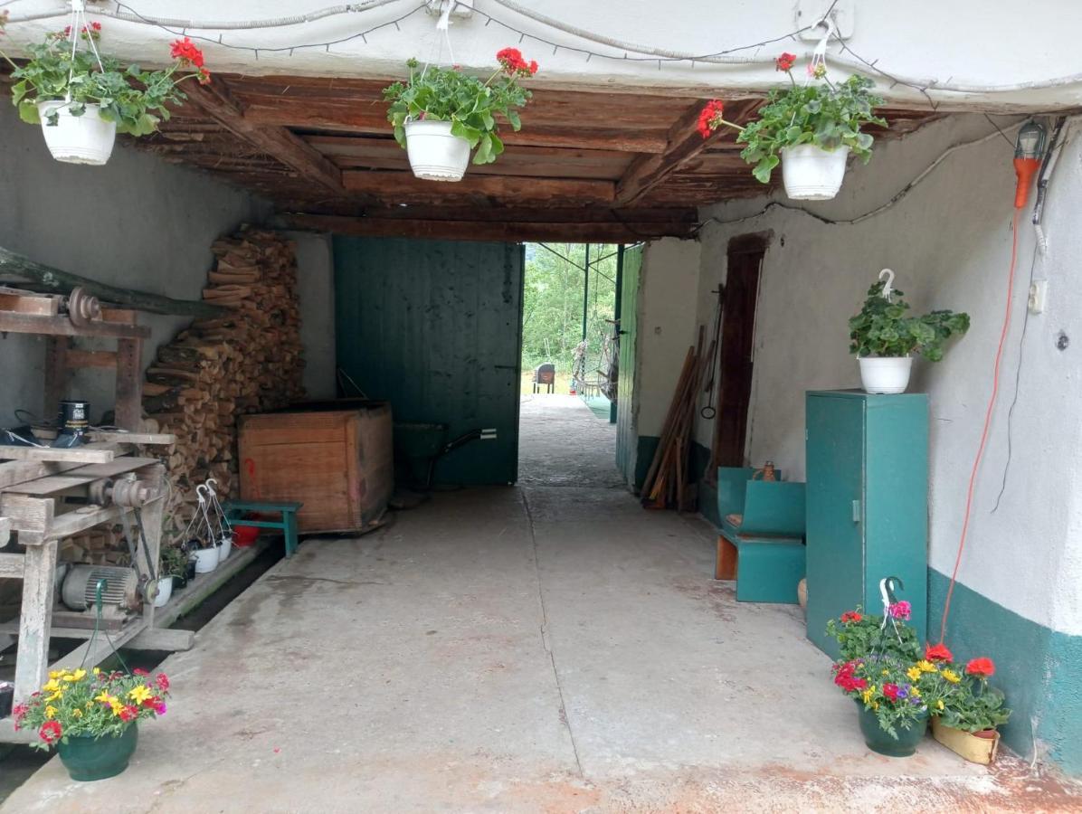 Hello Nature House - Cheile Nerei, Carasului, Garlistei Giurgiova Екстер'єр фото